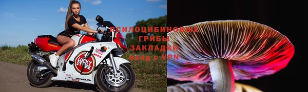 спайс Кодинск