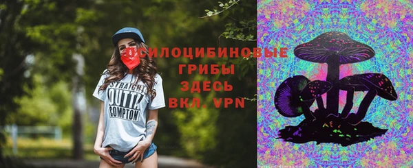 дживик Козловка