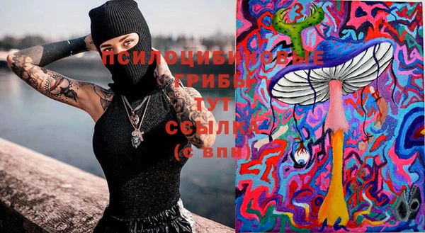 спайс Кодинск