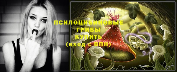 экстази Козельск