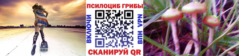 Псилоцибиновые грибы мухоморы  Купить закладки  Камешково 