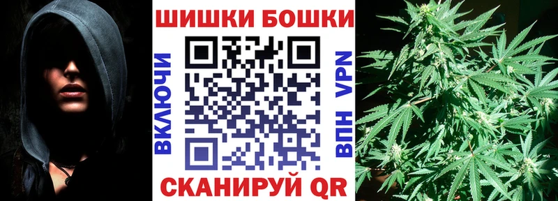 Купить где  Камешково  Бошки марихуана сатива 